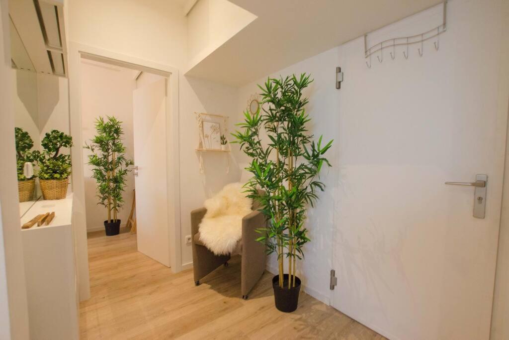 Casarina - Gemuetliches Apartment Im Zentrum Augsburg Zewnętrze zdjęcie