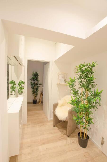 Casarina - Gemuetliches Apartment Im Zentrum Augsburg Zewnętrze zdjęcie